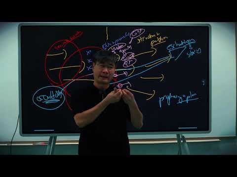 Game Theory #20:  Mid-Term Examination episode